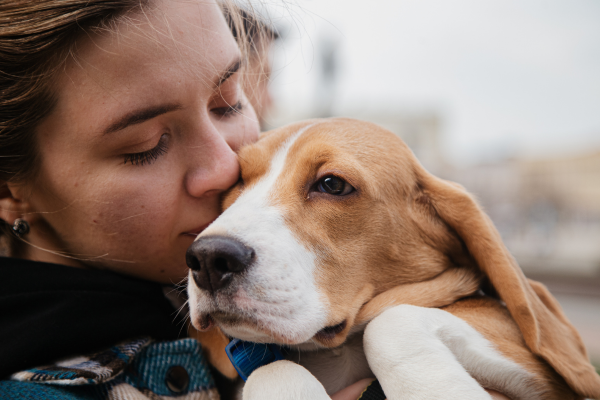 Pets Allow