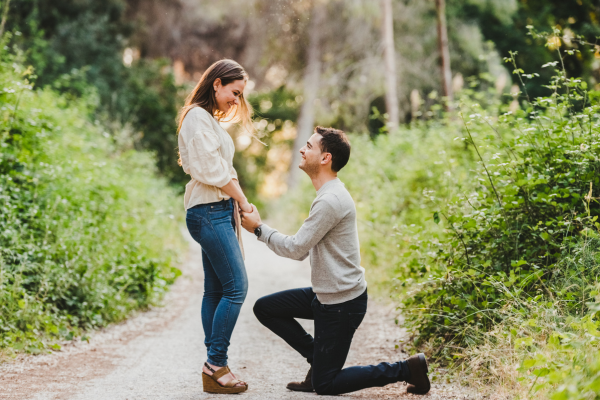 Romanic Proposal Point