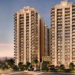Ace Verde New Launch- Yamuna Expressway