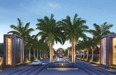 Ace Estate Plots Yamuna Expressway
